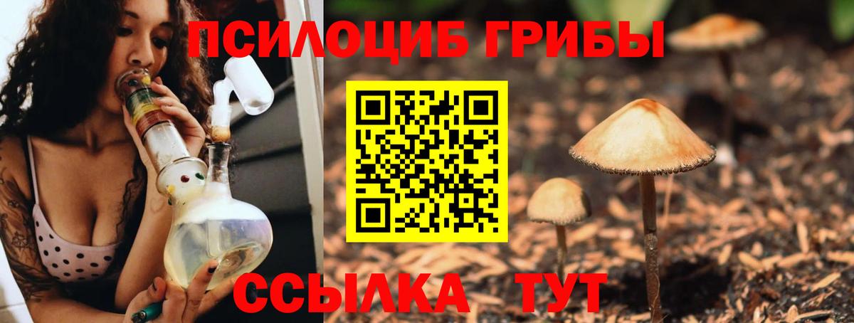 Псилоцибиновые грибы прущие грибы Барабинск