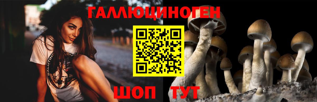 Барабинск  Галлюциногенные грибы Psilocybine cubensis  Вход с VPN 